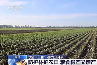 第27分钟桑德罗受伤无法坚持比赛，加蒂替补登场